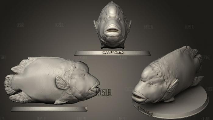 Napoleon Fish 3d stl модель для ЧПУ